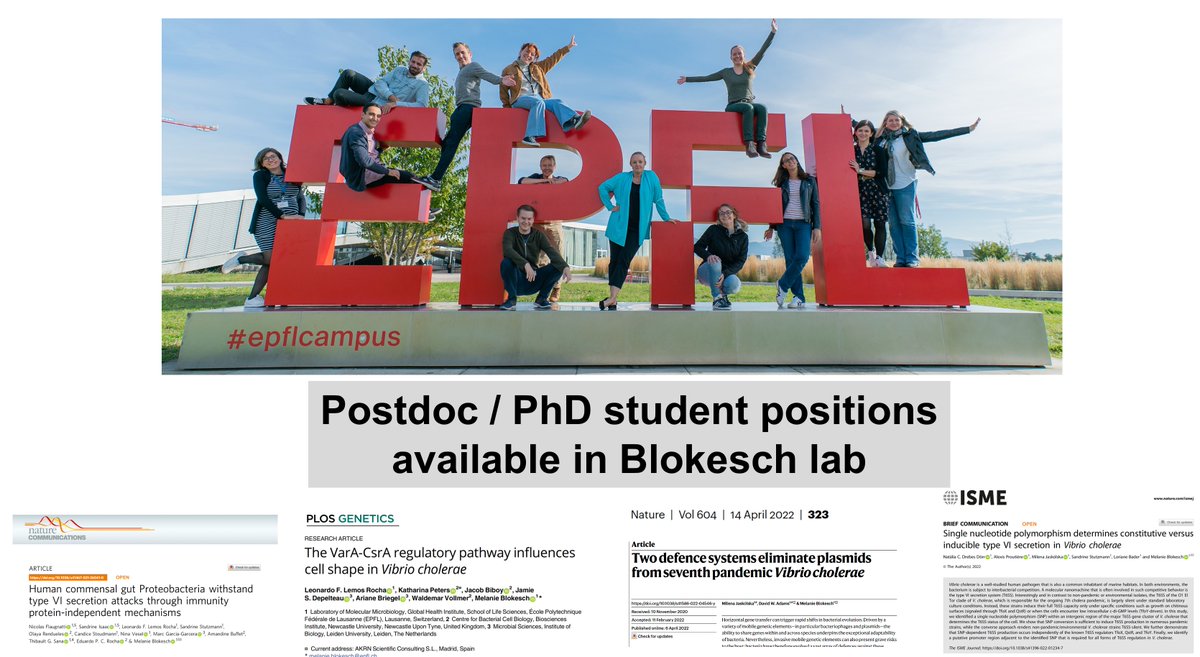MBlokesch's tweet photo. Postdoc positions available in my lab🤩
We had a good last year with 1st author publications by  Nicolas/Sandrine, Leonardo, Milena/David &amp; Natalia🥳 
Please check out my webpage on what we do (no official ad yet): https://t.co/9w2sCgBsbm
Interested? Please contact me by email. https://t.co/gLyGO22DJm