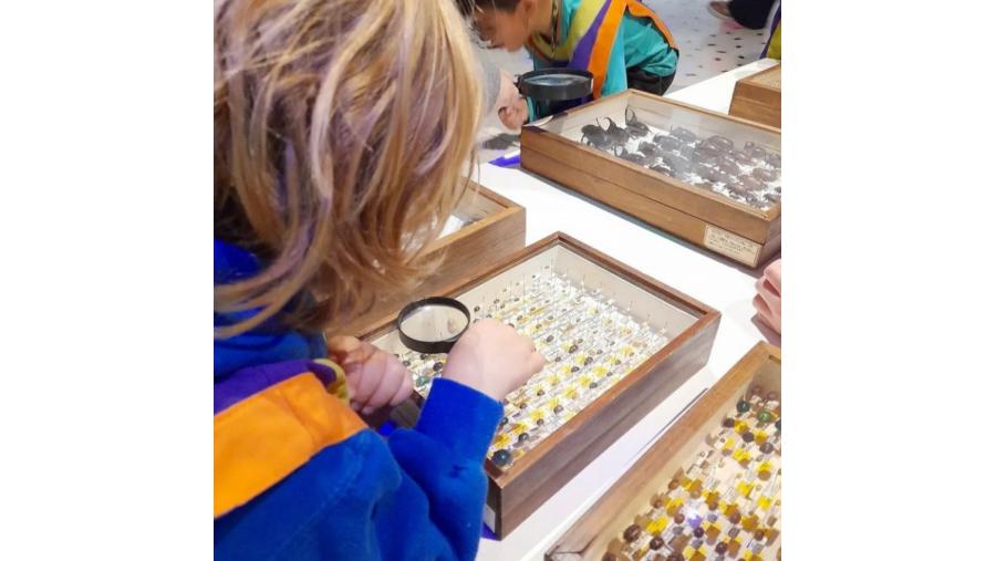 APNLaPampa's tweet photo. 🔹 EXTIENDEN LA EXHIBICIÓN DE LA MUESTRA NATURALEZA Y CULTURA

Continúan las vacaciones de invierno y la muestra “Naturaleza y Cultura” del Museo de Historia Natural en diversos espacios culturales concita la atención de numerosos visitantes.

Info ➡️ https://t.co/4tmHf86wpS https://t.co/ptMQW6NdwC