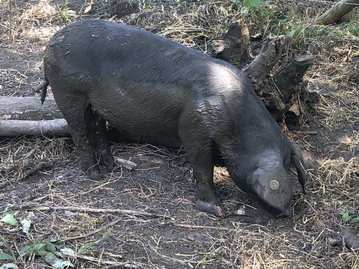 Nab Edge tweet media