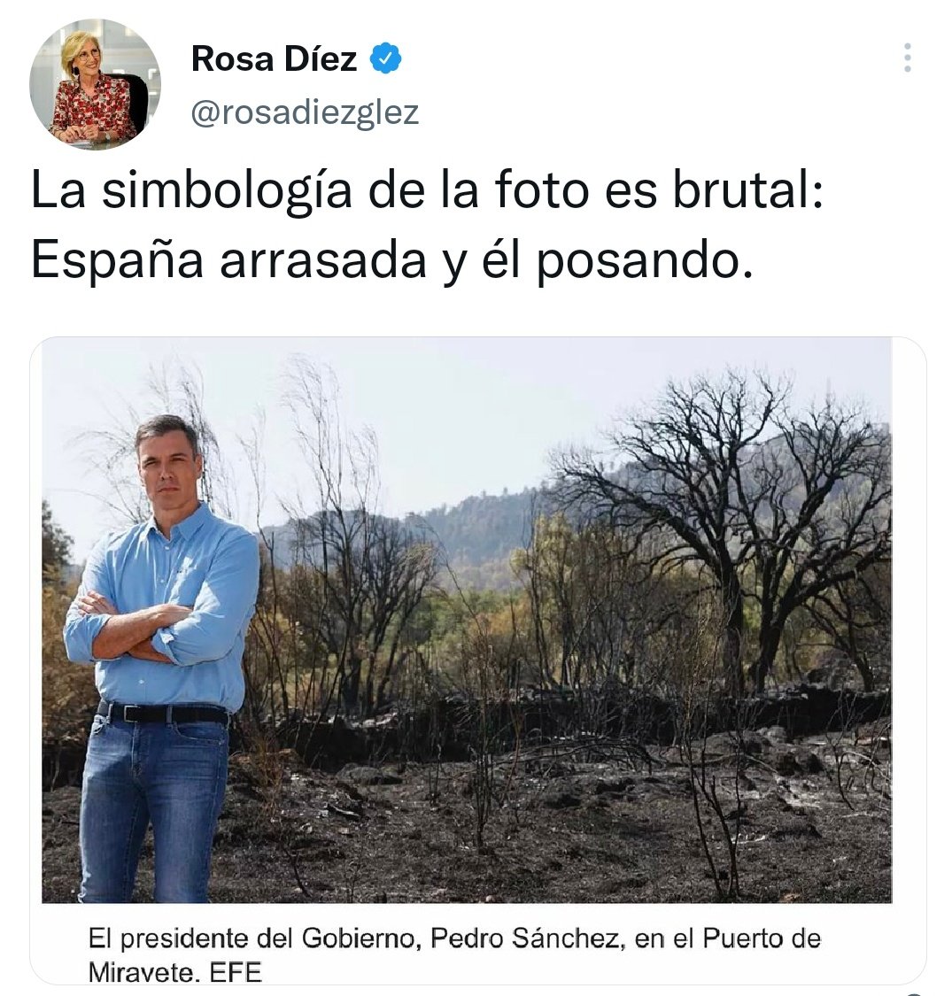 EstebanNavarroS's tweet photo. Esto te pasa, Rosa Díez, por mirar la foto desde la extrema derecha, recortando la izquierda. Te pongo la foto entera, para que veas que la única simbología brutal que hay aquí es la tuya. https://t.co/o6BFMaZKUW