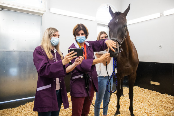 ☝🐎️ La Fédération Nationale des Courses Hippiques FNCH, présente un dossier complet sur la #médication et le bien-être chez le #cheval athlète

➡️ ow.ly/vzHp50JYZz3