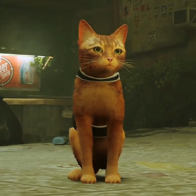 RT @Sony: It’s Stray Day.

Out meow on PlayStation PS5 & PS4: https://t.co/JGpkeP1HkZ https://t.co/GTDConiFdZ