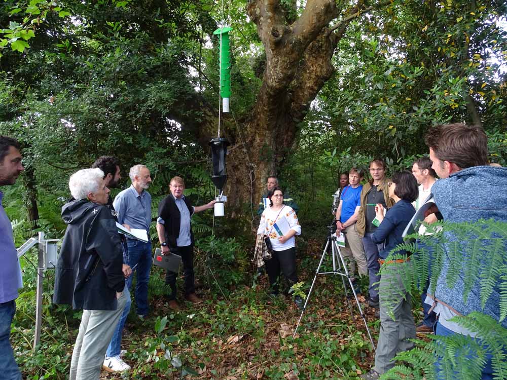 LifeSamfix's tweet image. In the forest near the port of #Bayonne a demonstration was held to present the operation of the X traps designed by Terrasystem during the SAMFIX project.

@INRAE_Intl @LIFEprogramme #samfix #lifeprogramme #inrae #xylosandrus