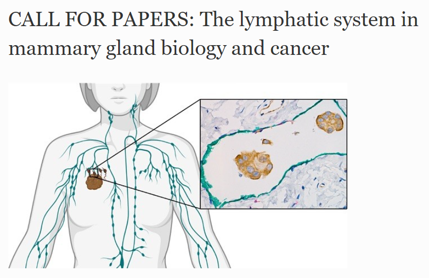 📢 CALL FOR PAPERS 📢 Special issue on the lymphatic system in mammary gland biology and cancer! 

Read more here: bit.ly/3IOSyCN 

<a href="/Mammary_journal/">Journal of Mammary Gland Biology and Neoplasia</a> #MammaryGland #CallForPapers
