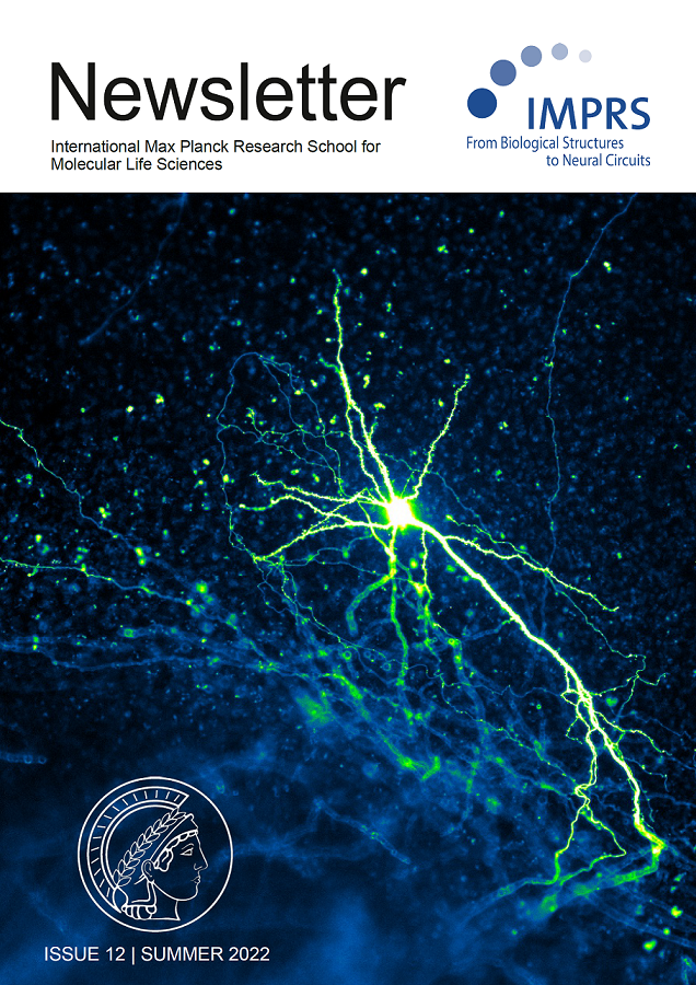 IMPRS-ML (@imprs_ml) on Twitter photo IMPRS Newsletter is out now! This issue is all about science communication. 🥼📣🧬
✉️Check your emails for the link.
Cover image by <a href="/DavidLaubender/">David Laubender</a> 
#imprs #scicomm #newsletter IMPRS Newsletter is out now! This issue is all about science communication. 🥼📣🧬
✉️Check your emails for the link.
Cover image by <a href="/DavidLaubender/">David Laubender</a> 
#imprs #scicomm #newsletter