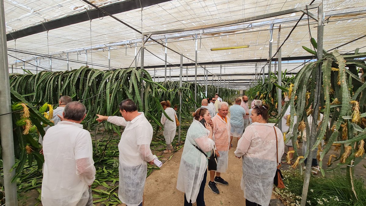 Invernadero Inteligente tweet media