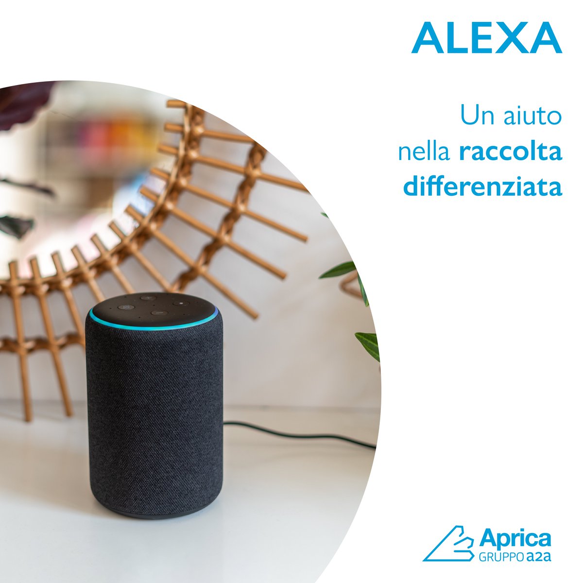 🗣 "Alexa, dove butto l'abat-jour?"
Da oggi puoi chiedere indicazione al servizio vocale di <a href="/AmazonIT/">Amazon.it</a> su come smaltire correttamente un prodotto.
Scopri come #Alexa ti può aiutare nella #raccoltadifferenziata 👉 bit.ly/3uaDclU