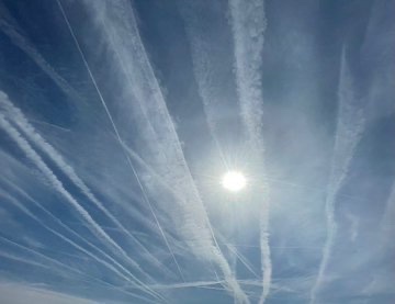 MazeofDeception (NO TO DIGITAL ID) tweet media