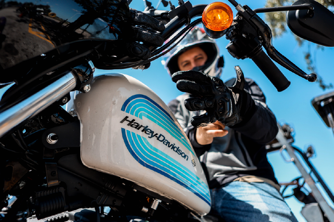 BCGPowersports's tweet photo. Harley Vibes ⚡️ https://t.co/EIReUP6jfp