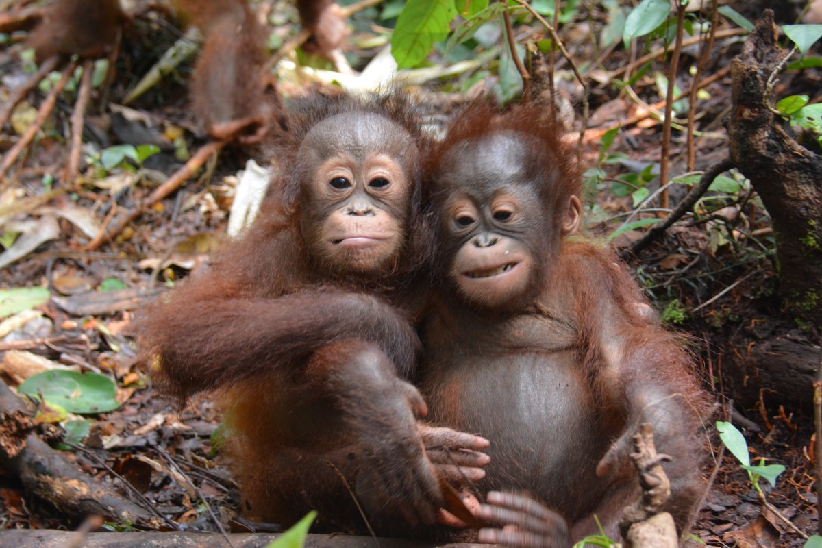 geargrl's tweet image. Hey! @wherefruityummy Don't forget to smile for your #ToothyTuesday picture!