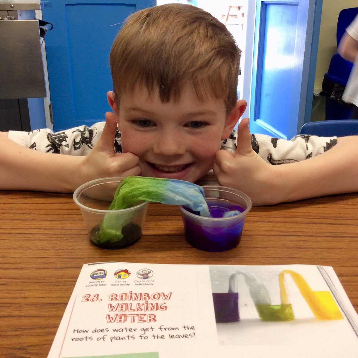 elton_school's tweet photo. In science KS1 have had fun with rainbow walking water as they learn more about plants. 🌈🚶‍♂️💦🌱🌳🌿
#schoolscience #KS1science #understandingnature #derbyshiredales #peakdistrict #matlock #derbyshire https://t.co/zsNlifuhp7