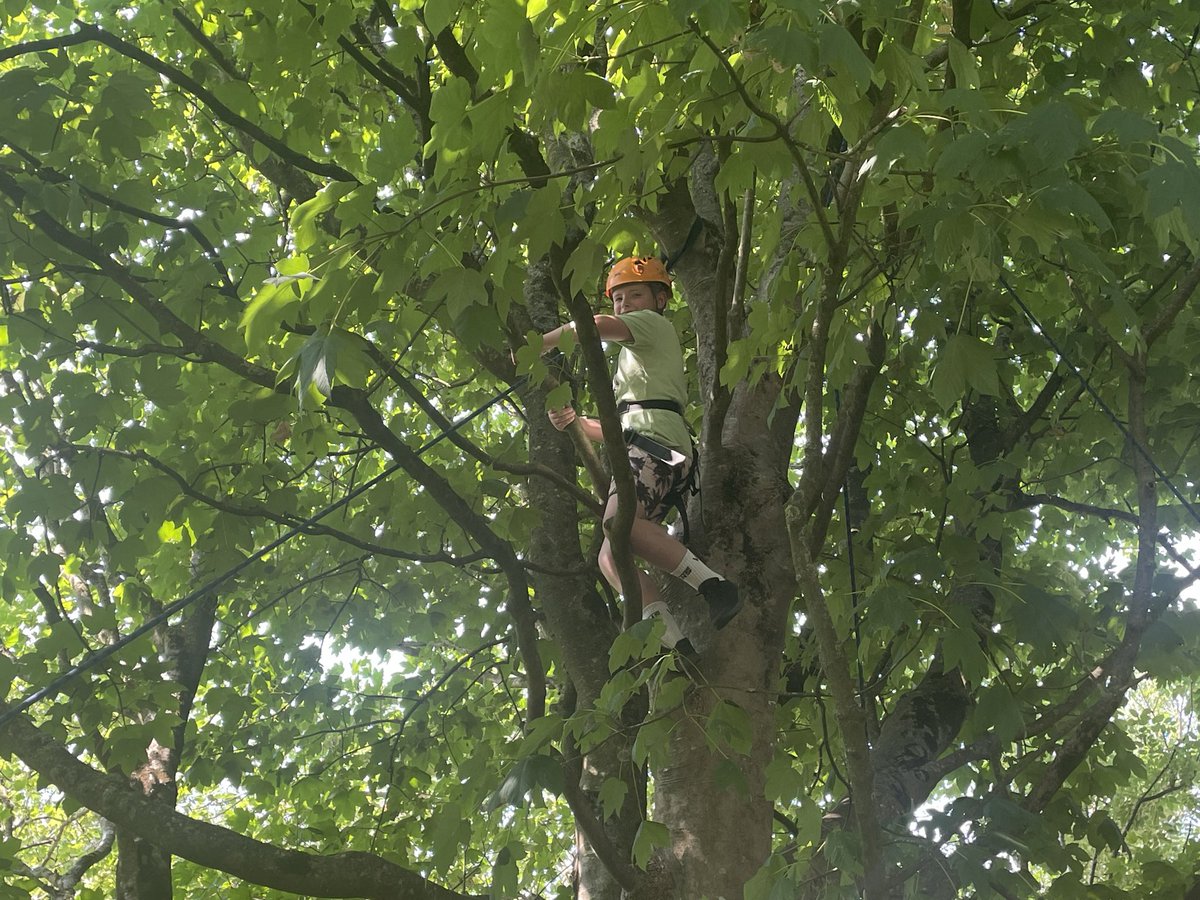 Of course we are tree and crate climbing 🧗‍♀️ <a href="/StMadoc/">St Madoc</a> <a href="/goweradventures/">Gower Adventures</a> #LlanHum #LlanHealth #LlanPryCop #LlanFun #LlanCom