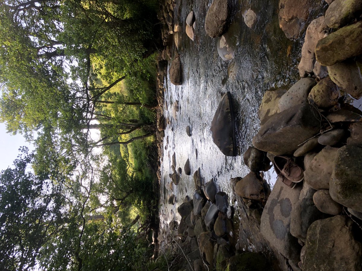 longbyres's tweet photo. What better way to cool off in this heat than by taking a dip in one of the many pools along the river Gelt which flows from the fells down and through the farm 🌞🥵🏊‍♂️ #Heatwave2022 #summer #coolingoff #farmstay #Cumbria https://t.co/gHUQC0jJhp