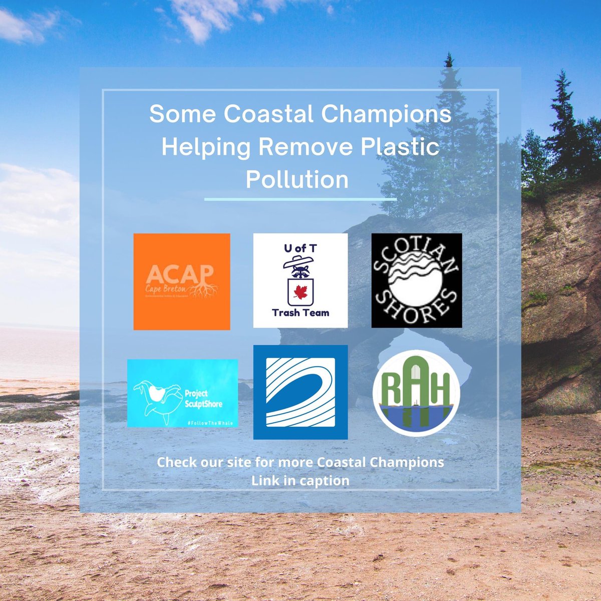 It's Plastic Free July! This movement was created to have cleaner streets, oceans and beautiful communities 🌊

#july #plasticfreejuly #plasticfree #plastics #plastic #ocean #oceanconservation #capacitybuilding #nonprofit #canada #canadiancoasts #conservation #PlasticFreeJuly