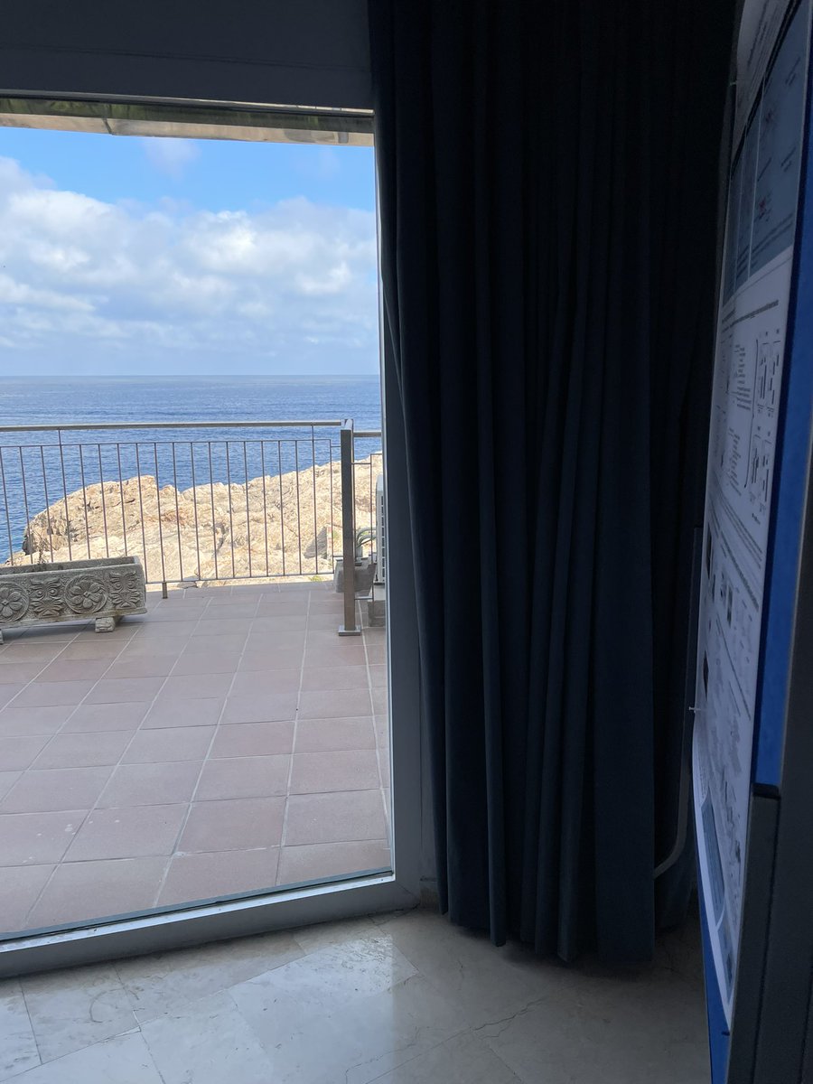 mariagamarragb's tweet image. Poster session with views in #EMBOrnaLocalization