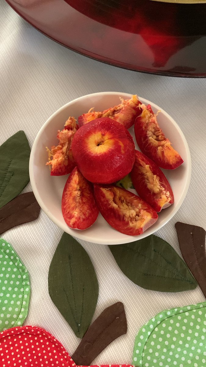 SophiaGerig's tweet photo. El melocotón más bonito que ha cosechado mi papá..! 🥰🤟🏡🍎 https://t.co/QpTQsOmluI