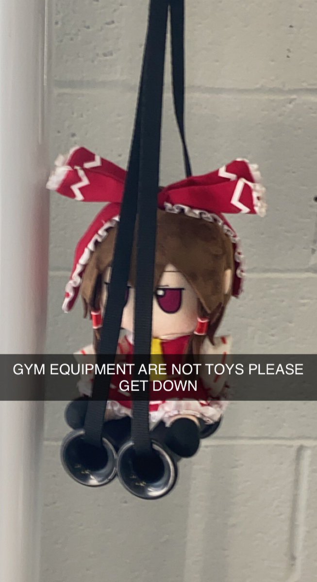 GymWithReimu's tweet image. I still go jim i just don’t want to he clogging y’all notifs