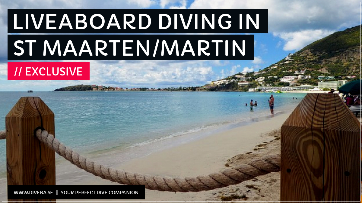 divebaseapp's tweet image. Todays highlight: 

✔ Liveaboard diving in St Maarten/Martin

📲 Download the #Divebase App for iOS and Android and discover great dive locations! go.diveba.se