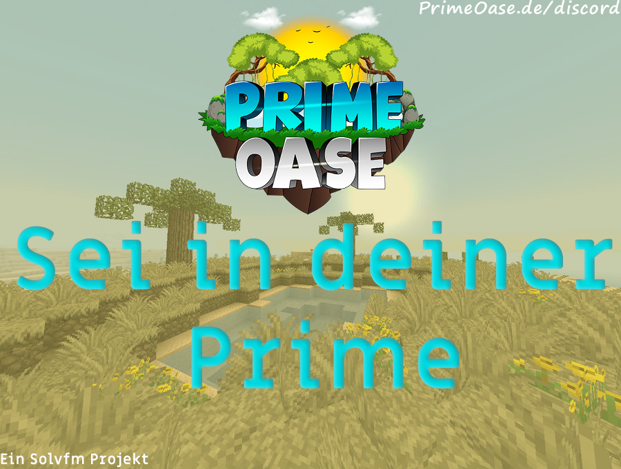 PrimeOaseNET's tweet image. PrimeOase.de
Primeoase.de/discord
