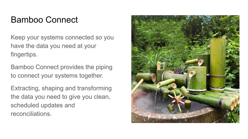 BambooConnect (@bambooconnect) on Twitter photo 