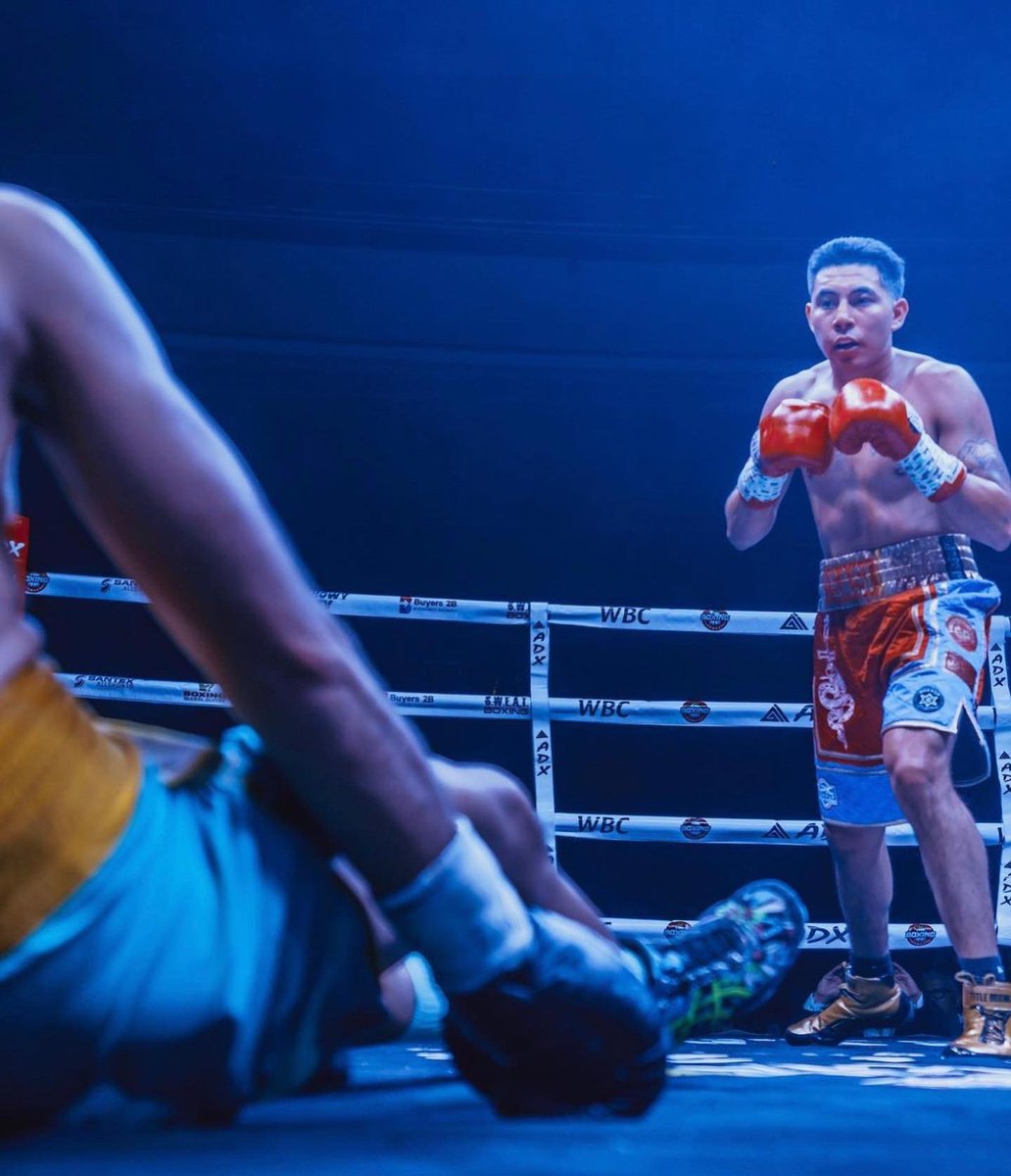 Shnaaake tweet media