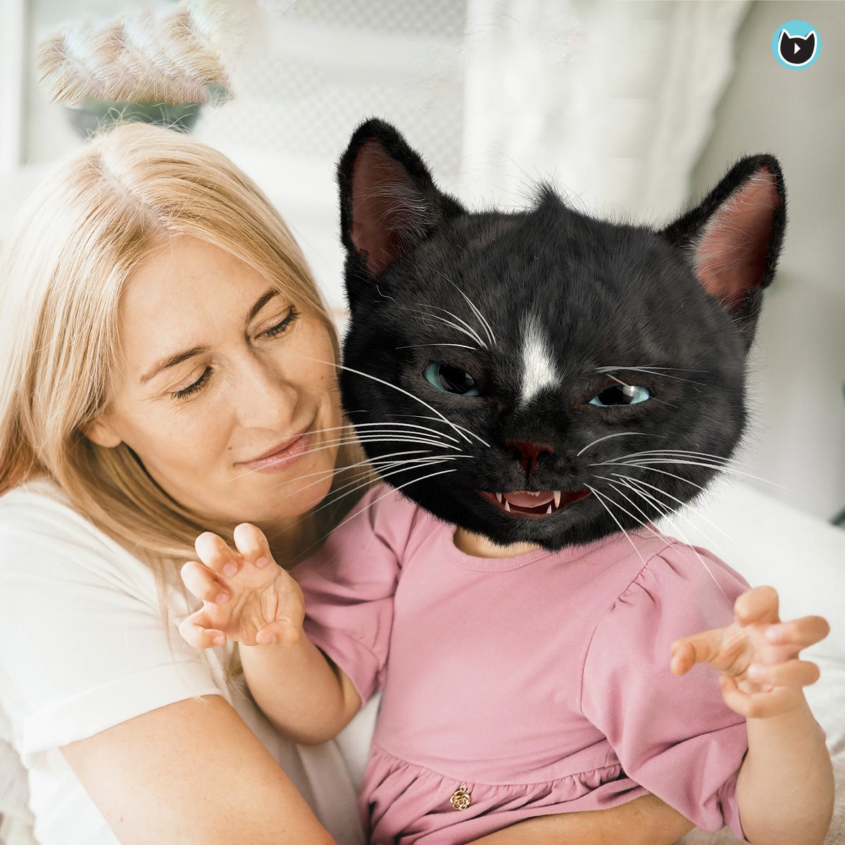 FeliniRocks's tweet photo. Sometimes kitties be like babies...#Meow!
#cats #lolpets #LOLcats #CatsOfTwitter https://t.co/dyWMGoNGlO