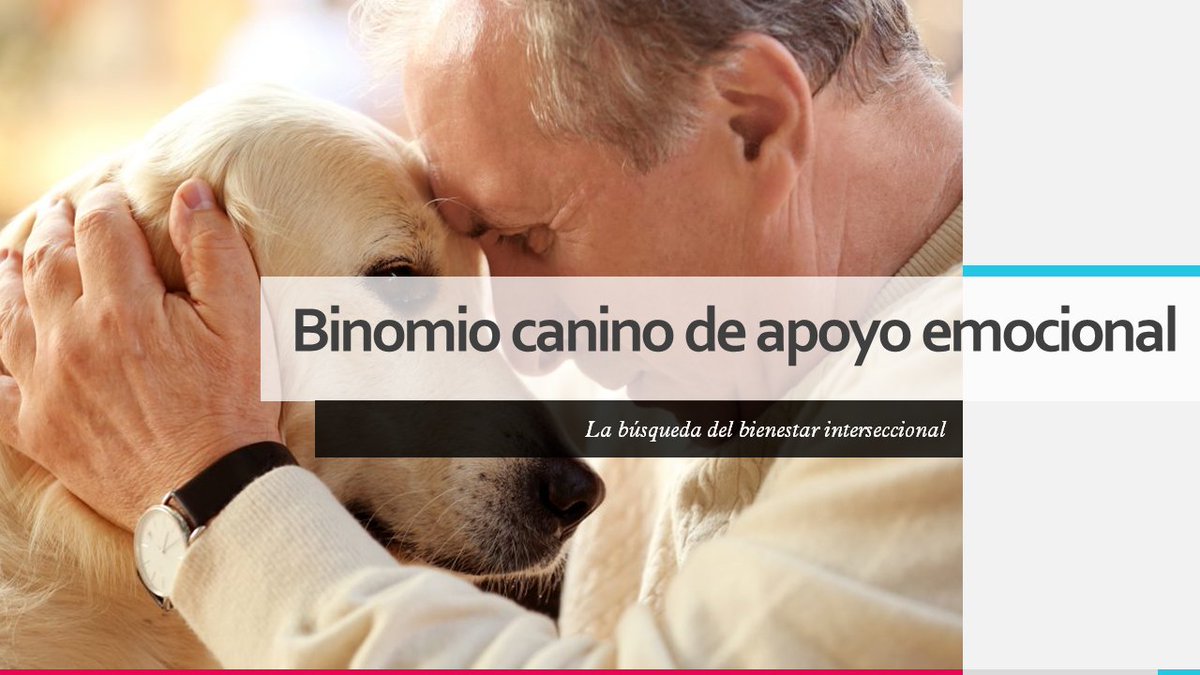 En el marco del XIV #Congreso Argentino de #SaludMental, junto a la Dra. Perrone, presentamos un trabajo de investigación sobre el vínculo Humano-Animal en #Animales de #apoyoemocional (#perros)
Te invito a que leas el artículo completo en mi página: bit.ly/3AYNhqn