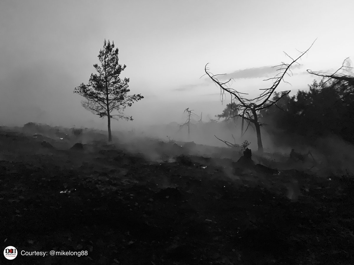 B31Voices's tweet photo. Legends 🙏 

Mike (Firefighter): A night spent on the Lickey hills with sun rise showing the true devastation of the fire."

#fire #lickeyhills #lickeyhillscountrypark #Birmingham #BirminghamUK #Worcestershire 
#SWBrumPHOTOS   #B31Voices https://t.co/VdJzhH78n3