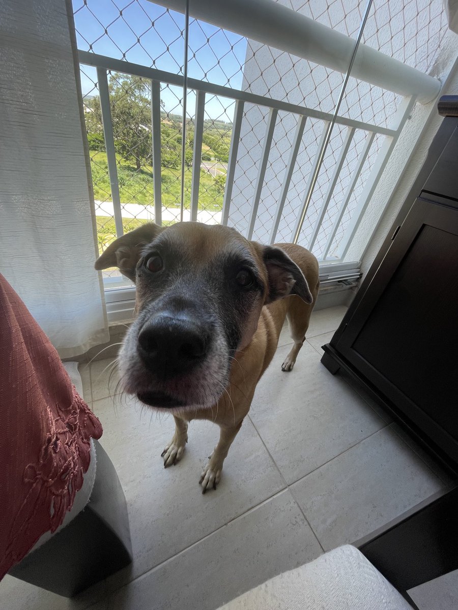 nicol3 🇵🇸 tweet media