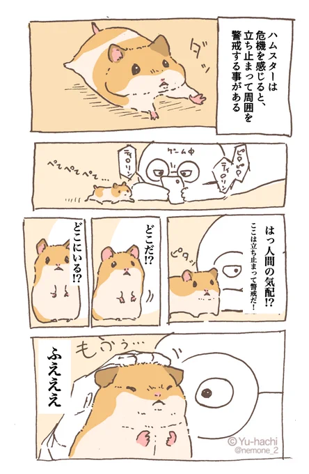 部屋んぽハムスターの日記です

 #ハムスターのいる生活 
#ハムスターのいる暮らし 