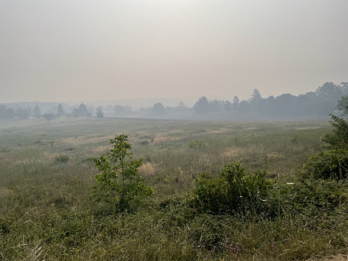 NicolasCournil's tweet photo. Ce matin, les fumées des #feuxdeforet en #Gironde recouvraient le Sarladais, à plus de 180 km de l’incendie. Ce soir la fumée persiste. Courage aux #pompiers et aux populations sinistrées. https://t.co/p0LMxOCBRk