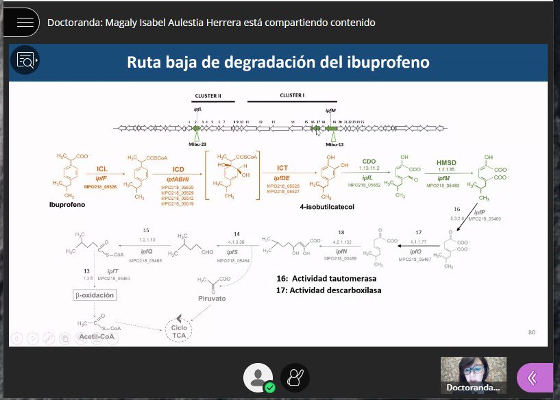 Centro Andaluz de Biología del Desarrollo (@cabd_upo_csic) on Twitter photo Congratulations to the new PhD <a href="/CABD_UPO_CSIC/">Centro Andaluz de Biología del Desarrollo</a>: Magaly Aulestia <a href="/MaguiAulher/">Magui Aulher</a>! Dr. Aulestia did a great job presenting & discussing her PhD work today! Magaly’s thesis was co-supervised by <a href="/evamcamfer/">Eva Camacho</a> & Eduardo Santero 🎉🎉🎉 Congratulations to the new PhD <a href="/CABD_UPO_CSIC/">Centro Andaluz de Biología del Desarrollo</a>: Magaly Aulestia <a href="/MaguiAulher/">Magui Aulher</a>! Dr. Aulestia did a great job presenting & discussing her PhD work today! Magaly’s thesis was co-supervised by <a href="/evamcamfer/">Eva Camacho</a> & Eduardo Santero 🎉🎉🎉