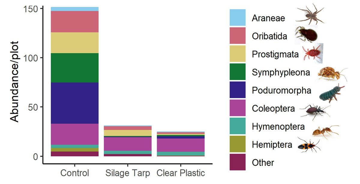 Dr. Eva Kinnebrew tweet media