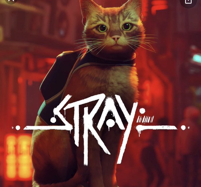 Come hang out with me on twitch today at 3pm pst. We&rsquo;re playing Stray!  https://t.co/gNZtOiWYIV https://t<a href="/tag/newprofilepic"class="tags"><span>#newprofilepic</span></a>