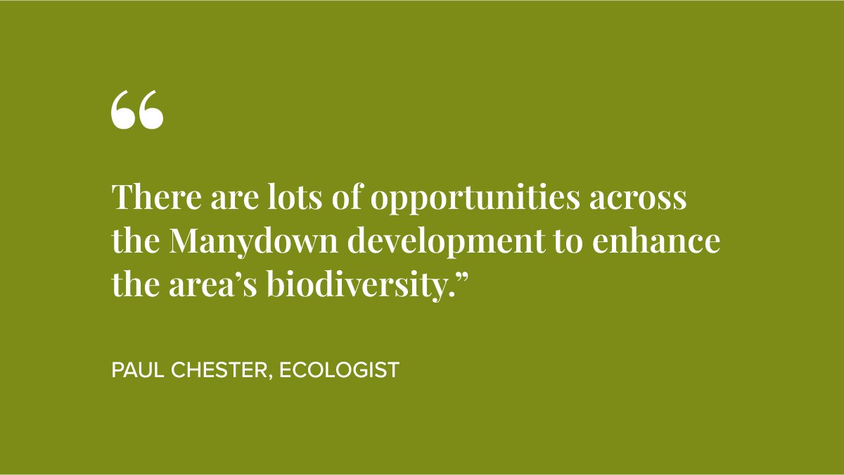 ManydownLife's tweet photo. Meet our experts
At Manydown, we are working with some of the country’s best #ecology experts to improve the #biodiversity of the area and respond to the ecological emergency.

One of those experts is Paul Chester.
Learn more:  https://t.co/uLs332OsEb
#ManydownLife #Basingstoke https://t.co/8uxcNhhiZS