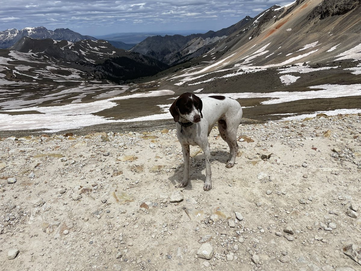 Jason Koop tweet media