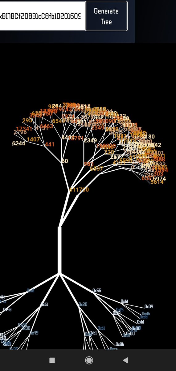 4/n A word on branch angles. A more accute angle of 20-30 degrees will produce a vase shaped canopy like the one in the image below. An obtuse angle of 50-60 degrees will produce a weeping style canopy.