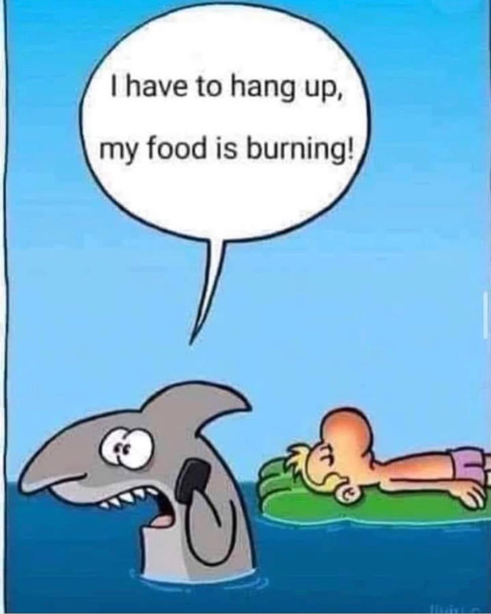 drdavidfriedman's tweet photo. 😂🦈
#funnymemes #shark #foodpuns #funnyfood #foodie #seafood #lol #laughteristhebestmedicine #laughing #hilarious #haha #foodsanity #drdavidfriedman #vegan #paleo #keto #intermittentfasting #diet #healthyfood #healthylifestyle #Eatclean #sunshinelover #toyourgoodhealthradio #ha https://t.co/Ghi02Y1vc7