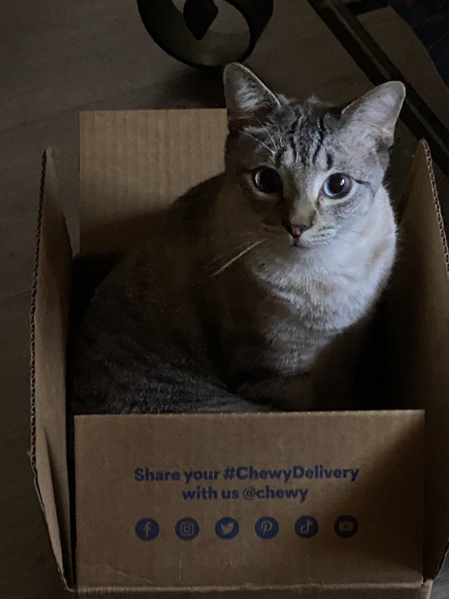 TwitchMix's tweet photo. @Chewy https://t.co/7q1QSqBK3r