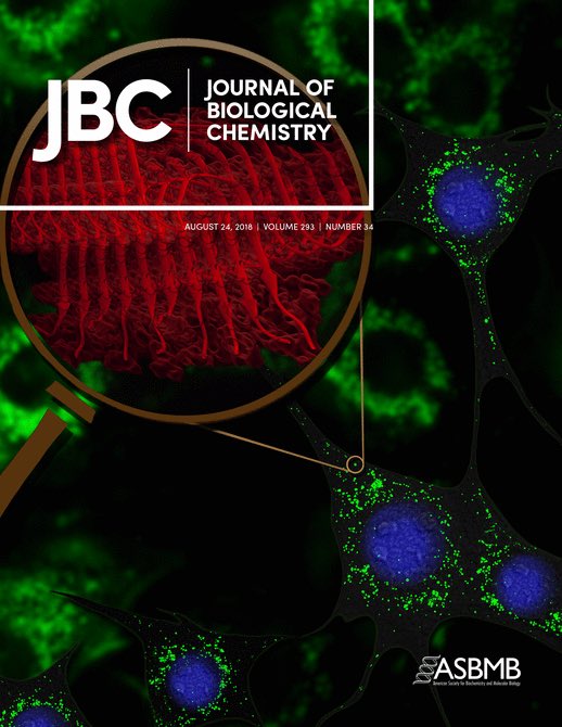 While saving a new cover art for JCS, I found this one and couldn’t resist myself from sharing this cover art which I’ve made back in 2018 <a href="/jbiolchem/">Journal of Biological Chemistry</a> <a href="/maji_lab/">MajiLab (Protein Engineering and Neurobiology Lab)</a>