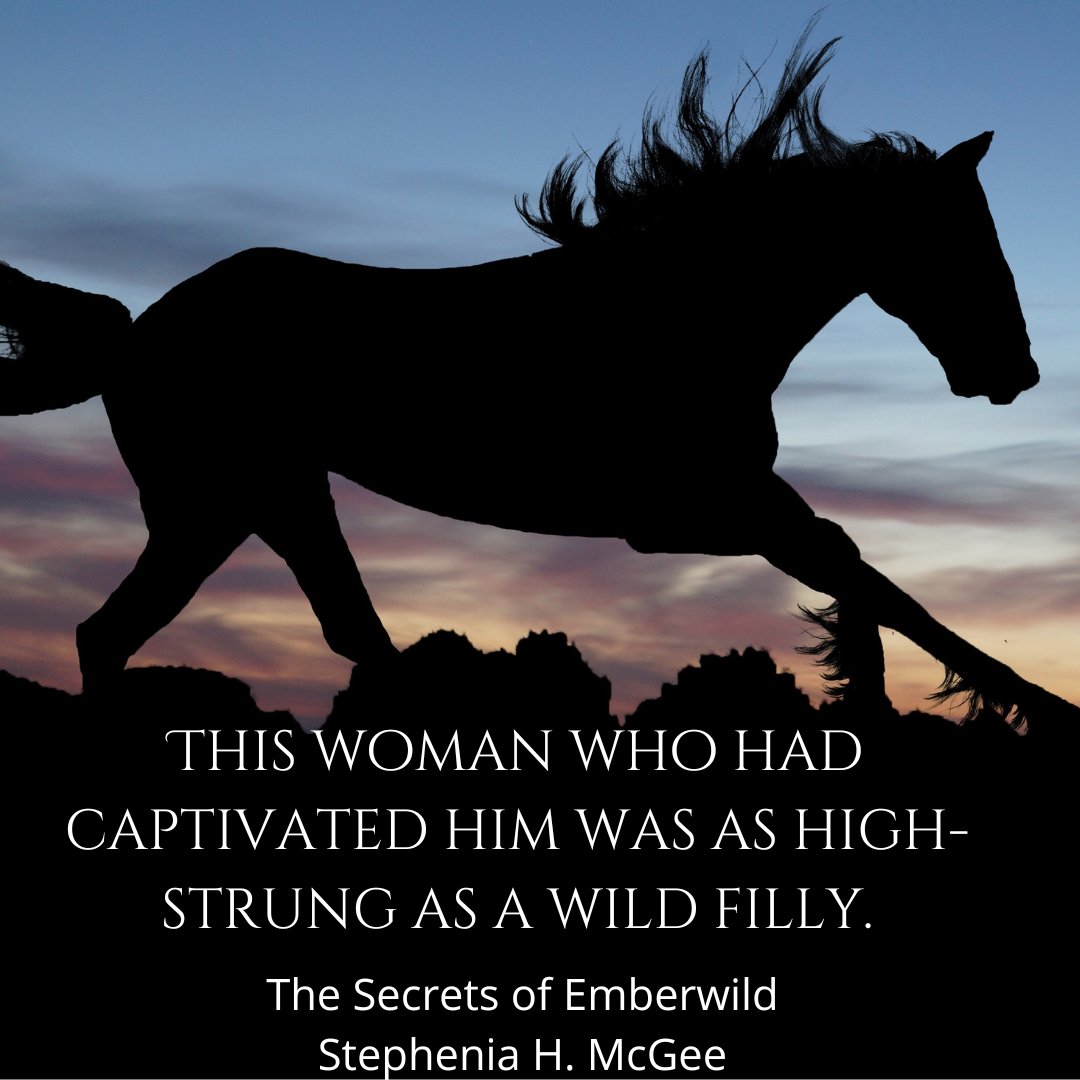 StepheniaHMcGee's tweet image. The Secrets of Emberwild is coming soon! If you preorder from Baker Book House, you can save 40% plus free shipping! #newrease #historicalromance #bookdeals #christfic bakerbookhouse.com/products/435957