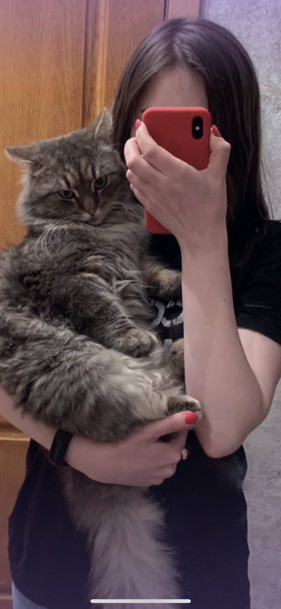 ethvictry's tweet photo. The last week was so tough for me… My kitten Tony died and I don’t know how to deal with this. #grievingprocess #belovedpetloss #petloss https://t.co/7rpmhEVPbc