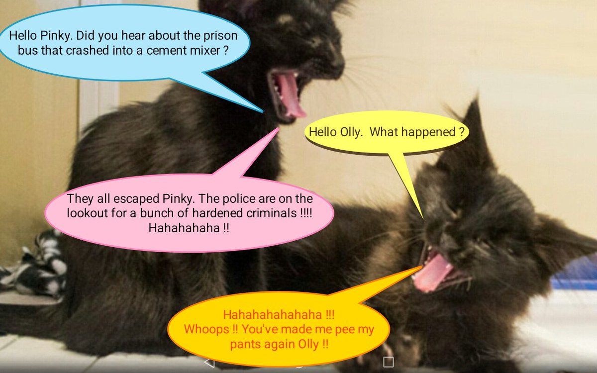 AlanSla90124663's tweet photo. It's time for Pinky and Olly's corny jokes, posted in loving memory of our dear friend Janet.
Olly has got a corny shtinker today.
#RIPJ ๐๐๐
#PinkyAndOlly
โค๏ธโค๏ธโค๏ธโค๏ธ๐ฝ๐ฝ๐ฝ๐ฝโค๏ธโค๏ธโค๏ธโค๏ธโค๏ธ https://t.co/G8nGxVsjAQ