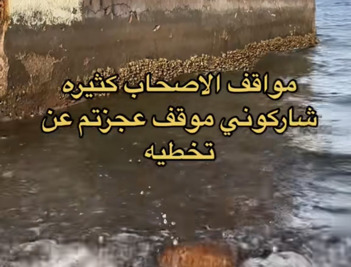 شاركوني ..