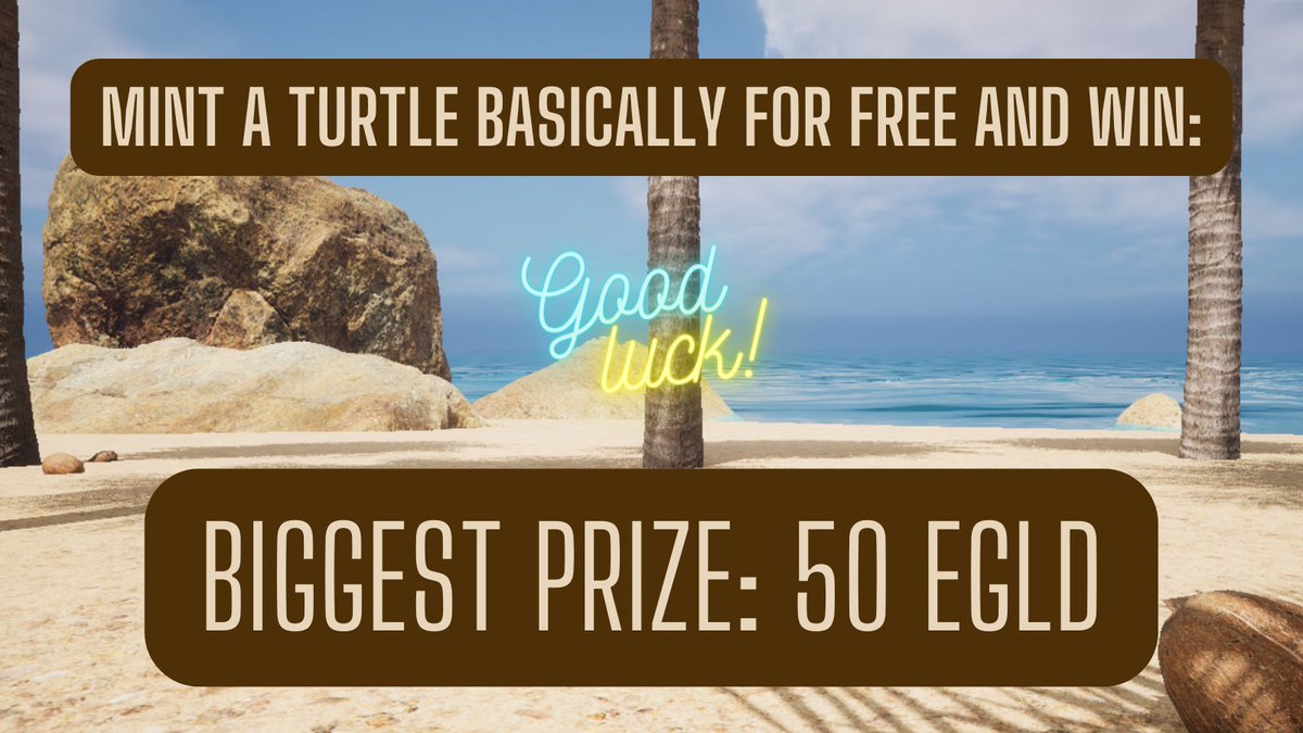 Turtle's Charm - ⚡AI Systems & Games tweet media