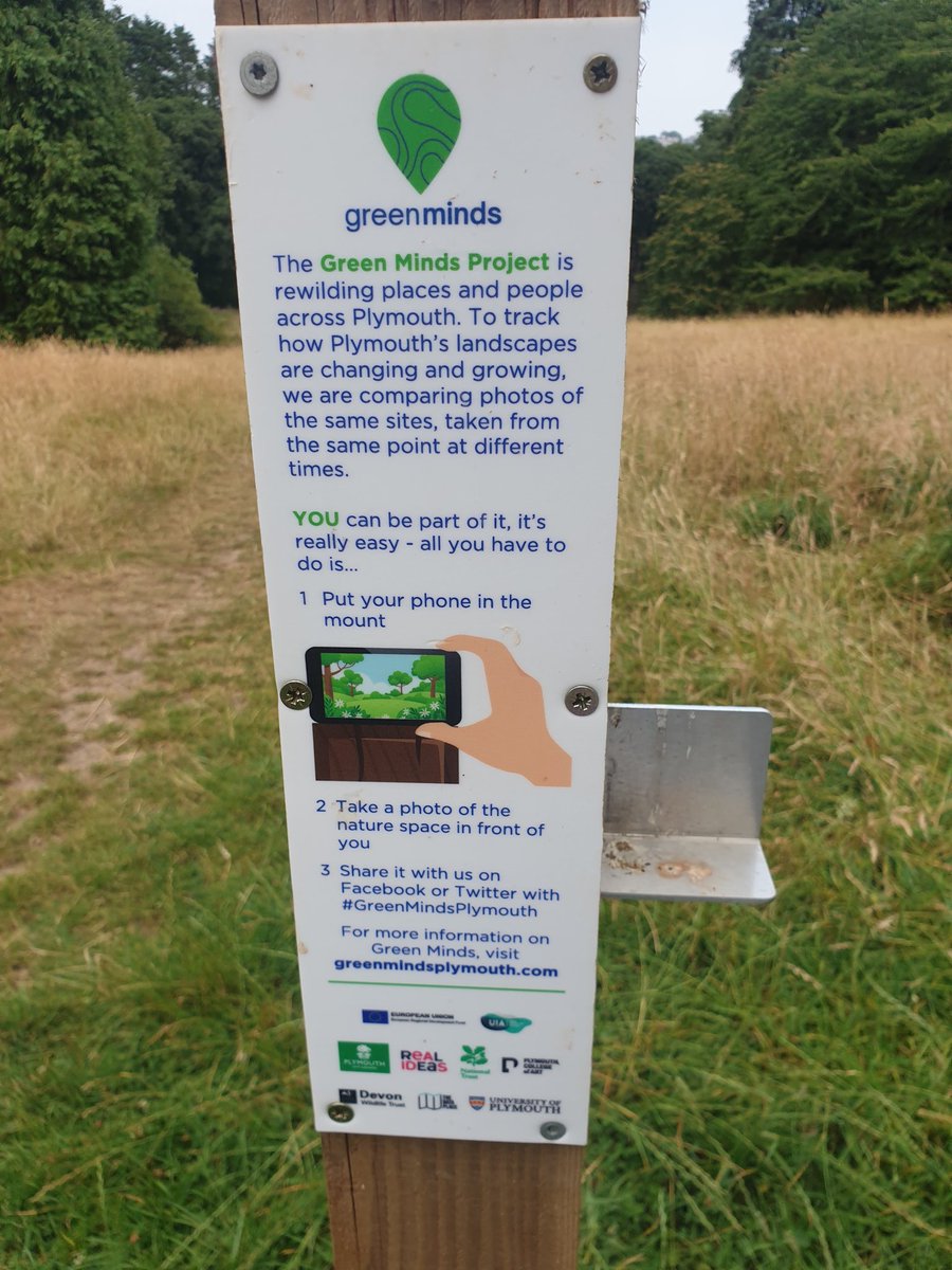 JessSmallcombe's tweet image. Thanks for the #GreenMindsPlymouth butterfly search today. Lovely small copper and a bit of fixed point photography
