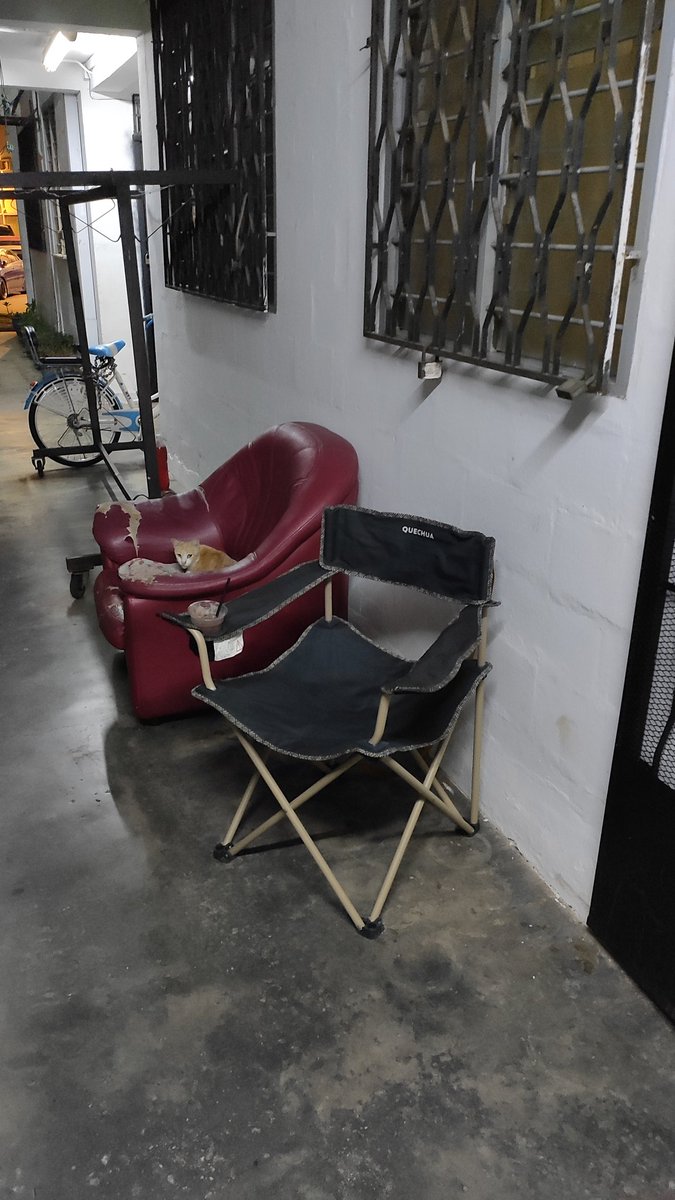 SyfiqJalil_'s tweet photo. tgh fikir kan menu baru nak masuk yg mana dulu 😣 https://t.co/R5ZwIY7NDX