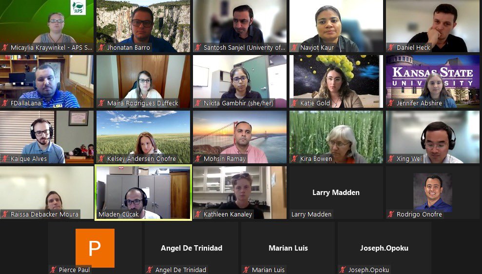 APS_CLARE's tweet photo. Please join me to welcome our new CLARE committee 🎉🎈🎊

@MahDuffeck as Chair,
@XingWei19 as Vice-Chair, and 
@danwheck as secretary

Thank you to everyone who attended today's meeting! Lots of great ideas and actions for engagement 💡🙌🏻

#PlantHealth2022 #APSCLARE https://t.co/a3E7DasT93