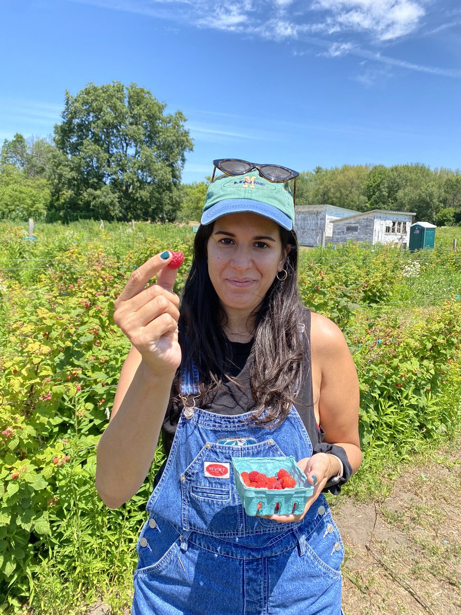 I am so proud of @gabriellaforalb. She ran against the party establishment and won. Now she just passed her first bill in office by overriding the mayor’s veto. What’s next?