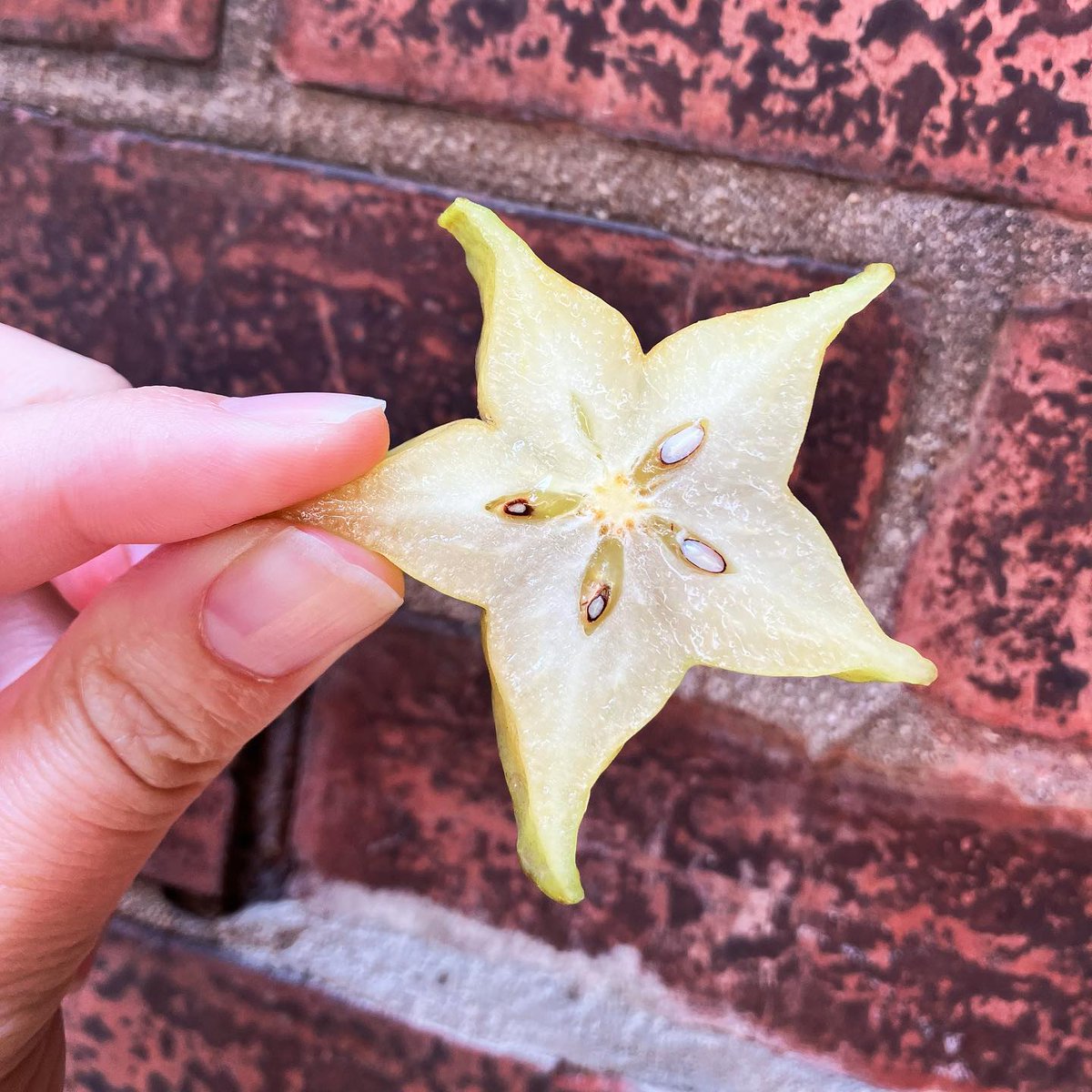 Mariposa Food Co-op tweet media